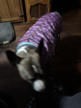 User picture