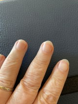 Lynnette S. review photo