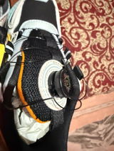Goldwin review photo