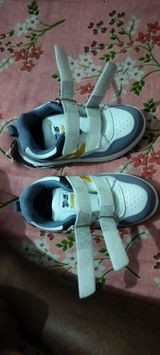 Pallab review photo
