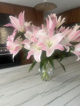 Kimberlee Herold review photo