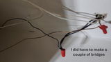 Loni review photo