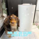 AI AI review photo