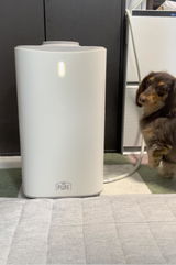 PURE PET AIR CLEANER | PURE（ピュア）公式オンラインショップ