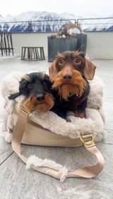 Theo und Fritz review photo