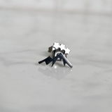 C. P. review photo