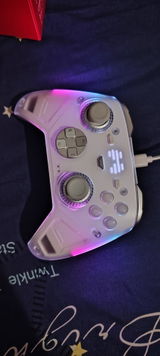 Sofia L. Bianchi review photo