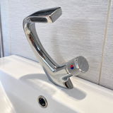 TARASE LUCICA review photo