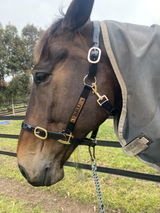 Mackenzie S review photo