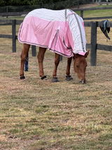 Lynda Cavallo review photo