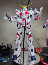 Michael P review photo