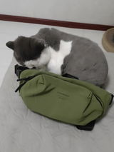 佐藤 遼 review photo