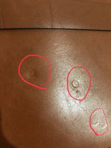 asbed k. review photo