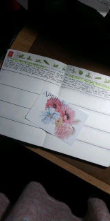 Aminah S. review photo
