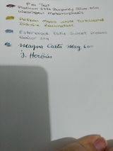 Nazlıhan Y. review photo
