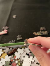 Yuchen Z. review photo