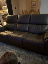 Shelton review photo