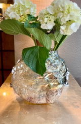 Donna Moore Ruggiero review photo
