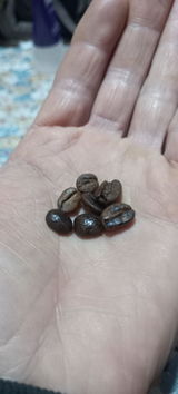 Ignacio review photo