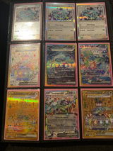 Rose review photo