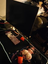 Anthony M. review photo
