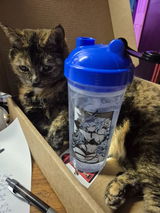 Scarlettalein review photo