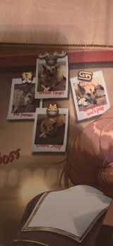 Javid p. review photo