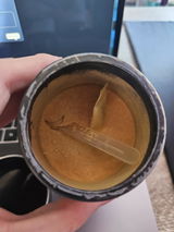 Bruno U. review photo