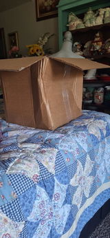 Claudia D. review photo