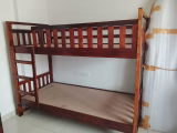 sandhya n. review photo