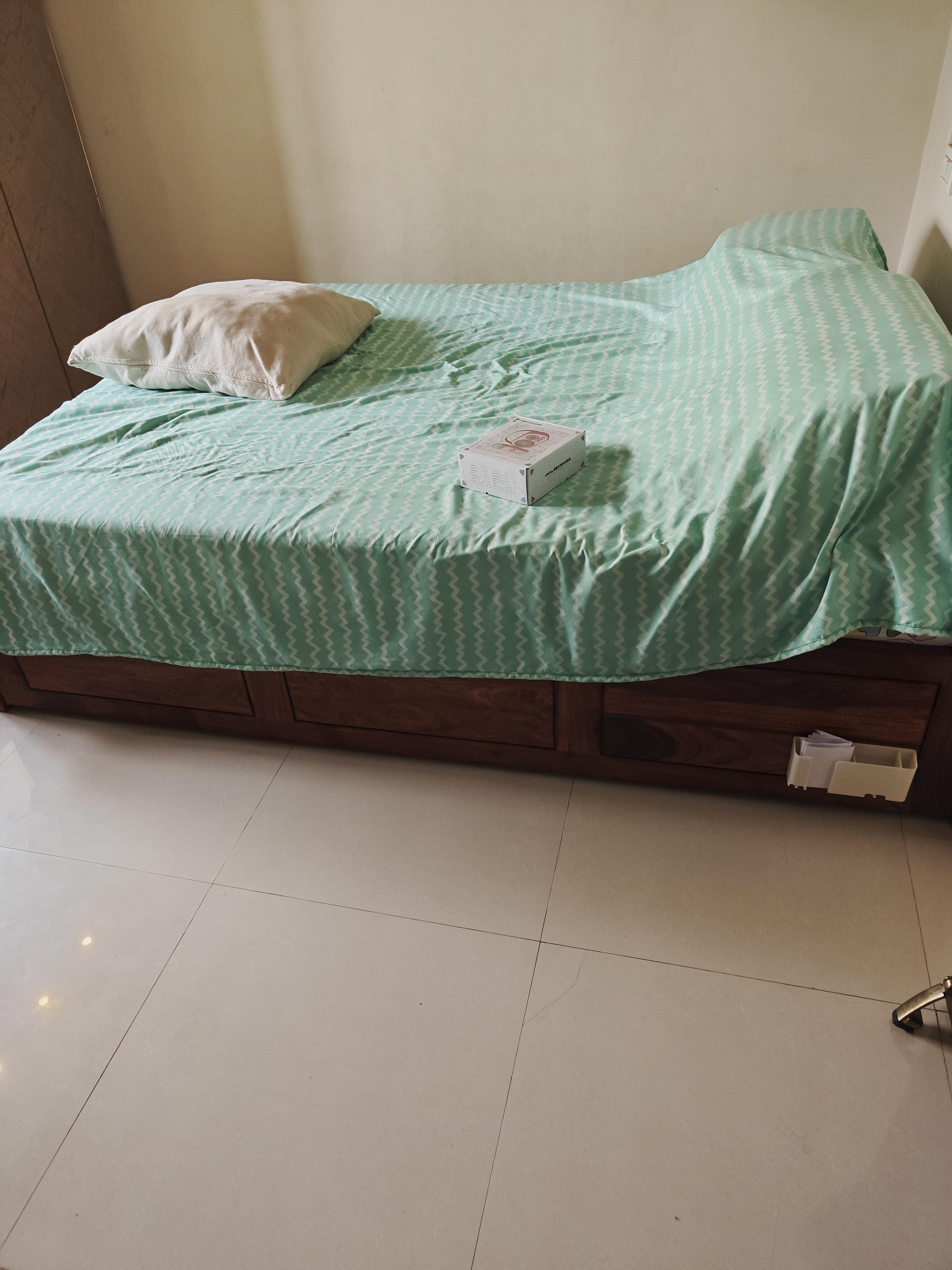 Saie T E review photo