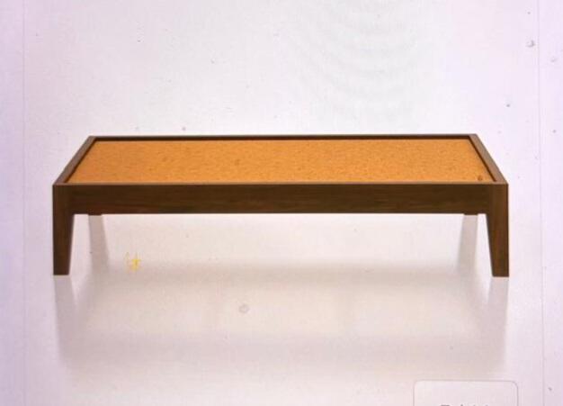 Scheel Shenoy review photo