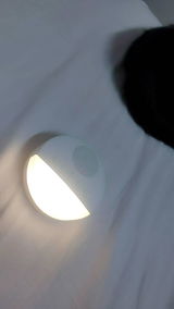 Celio Cavalcante review photo