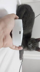 Celio Cavalcante review photo