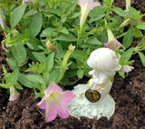 Renee B. review photo