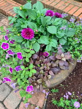 David R. review photo
