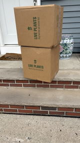 Andrew G. review photo