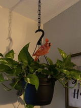 Bergetta R. review photo