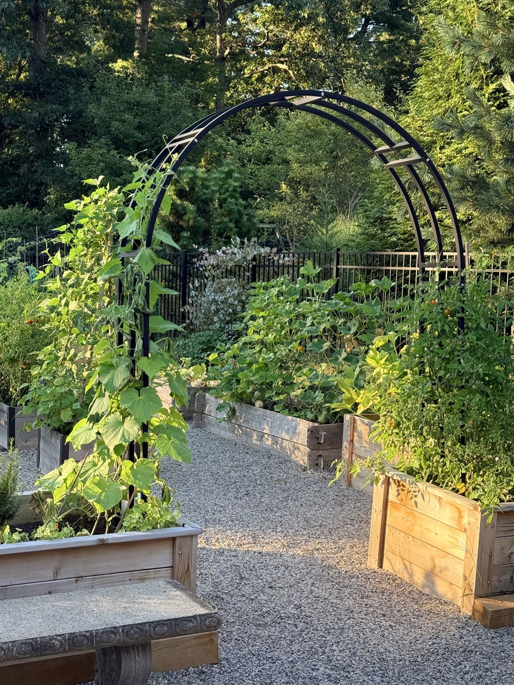 Nicole Arch Trellis