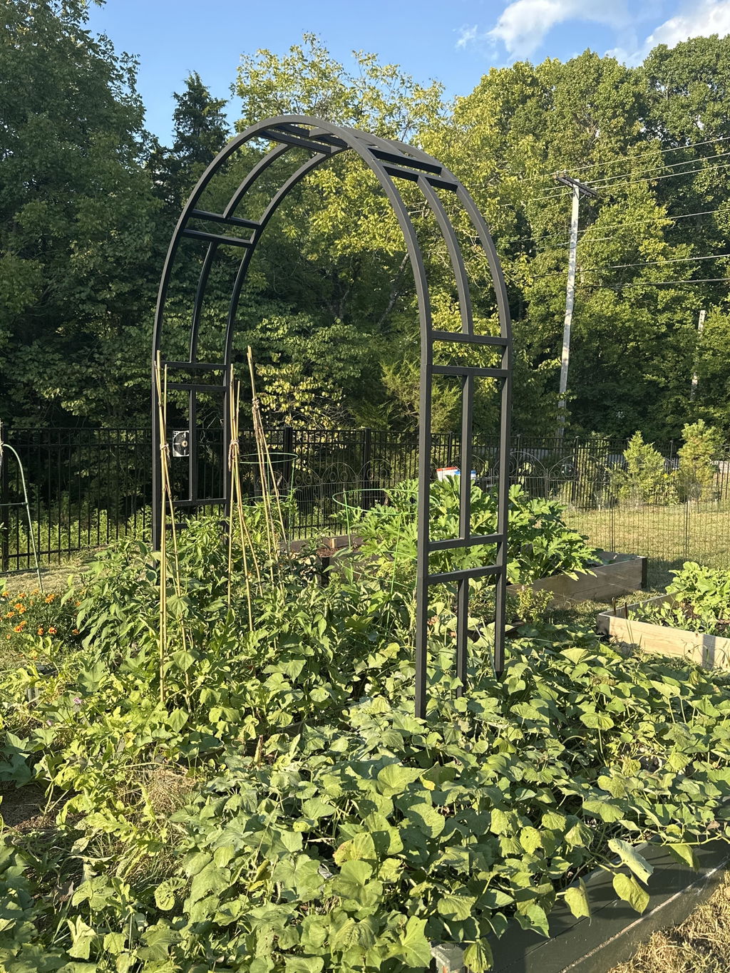 Nicole Arch Trellis