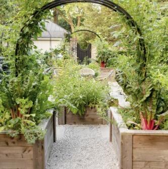 Nicole Arch Trellis