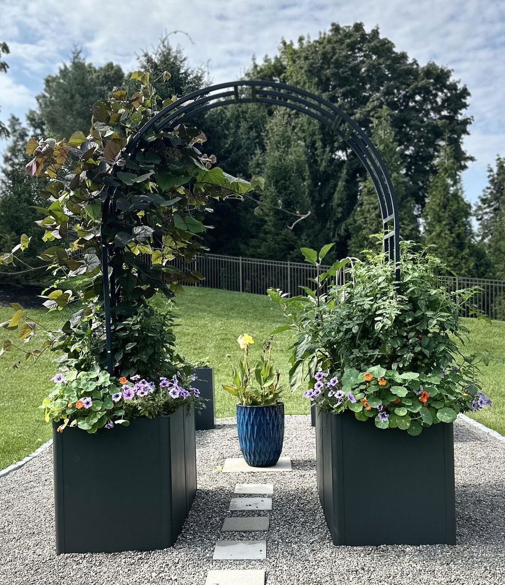 Nicole Arch Trellis
