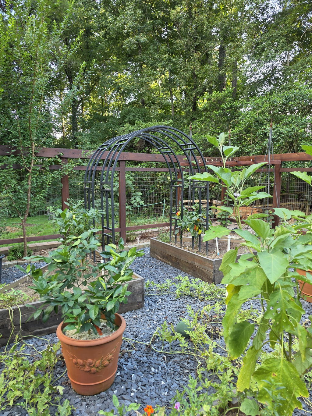 Nicole Arch Trellis