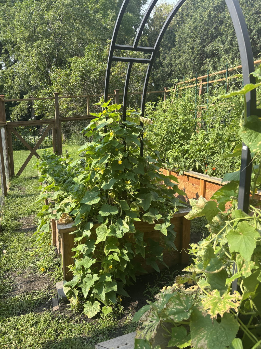 Nicole Arch Trellis
