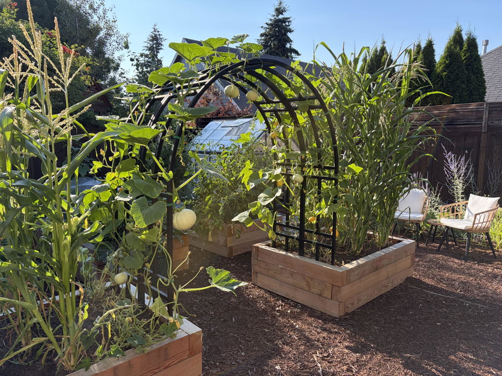 Nicole Arch Trellis
