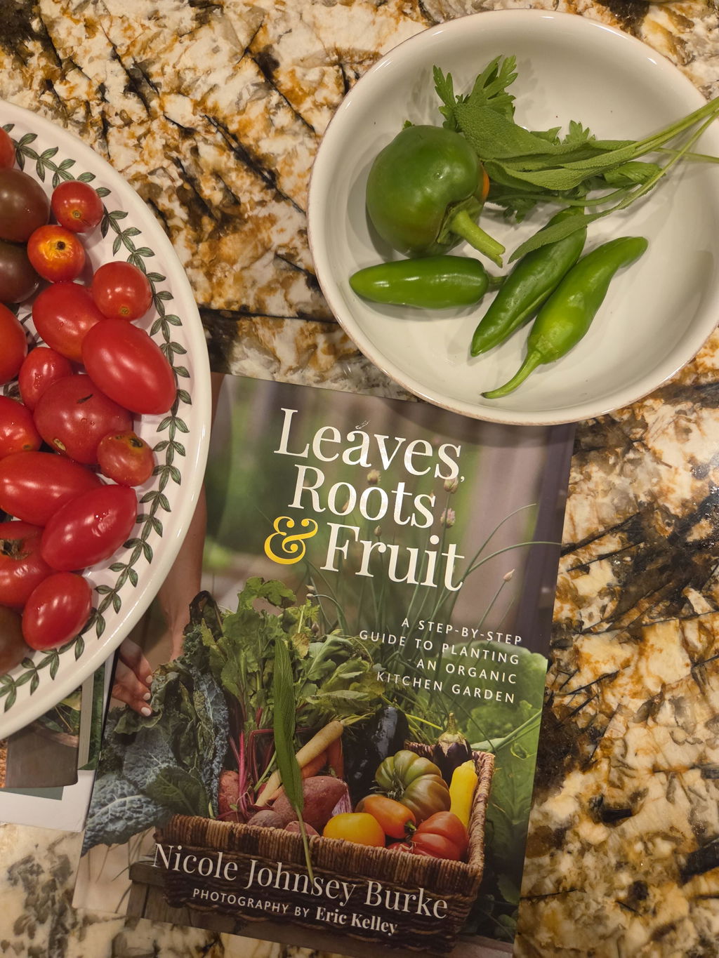 Leaves, Roots and Fruit Book by Nicole Burke