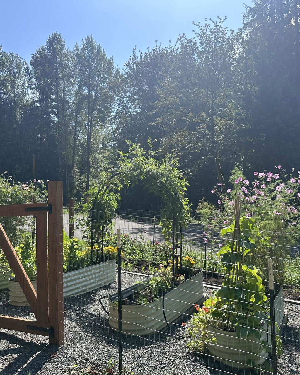 Nicole Arch Trellis
