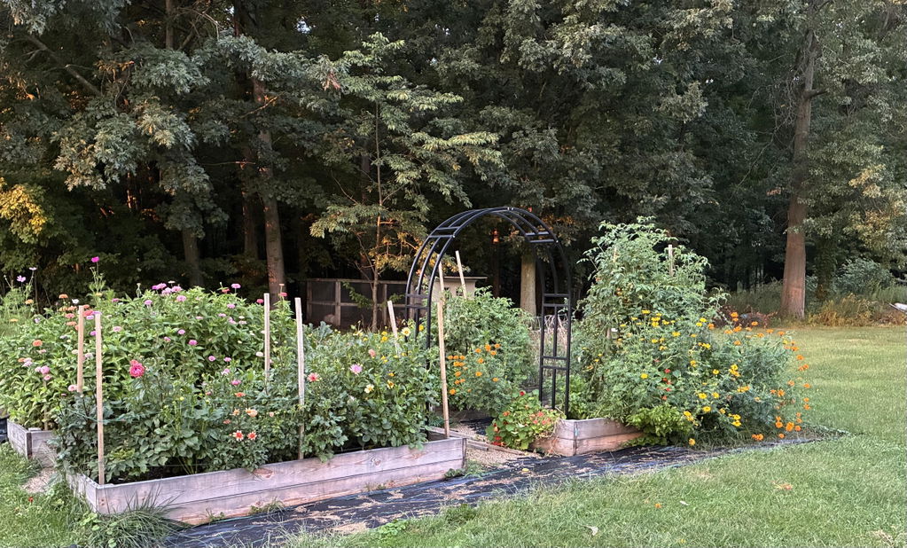 Nicole Arch Trellis