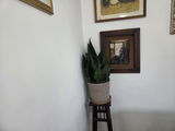 עדו רטן review photo