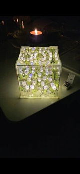 Halie S. review photo
